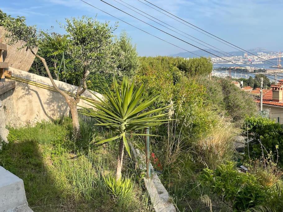 Superbe Terrasse Avec Vue Panoramique Sur La Mer マルセイユ エクステリア 写真